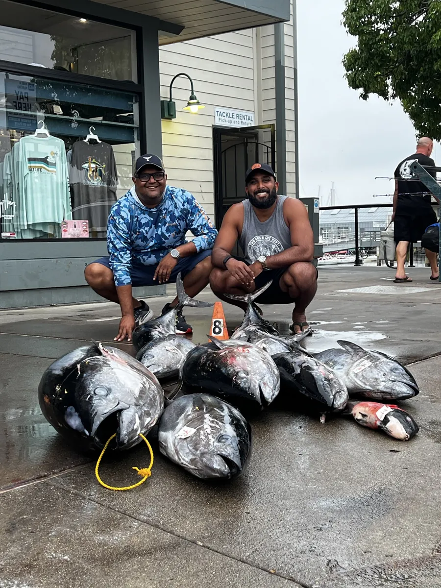 Bluefin on the dock