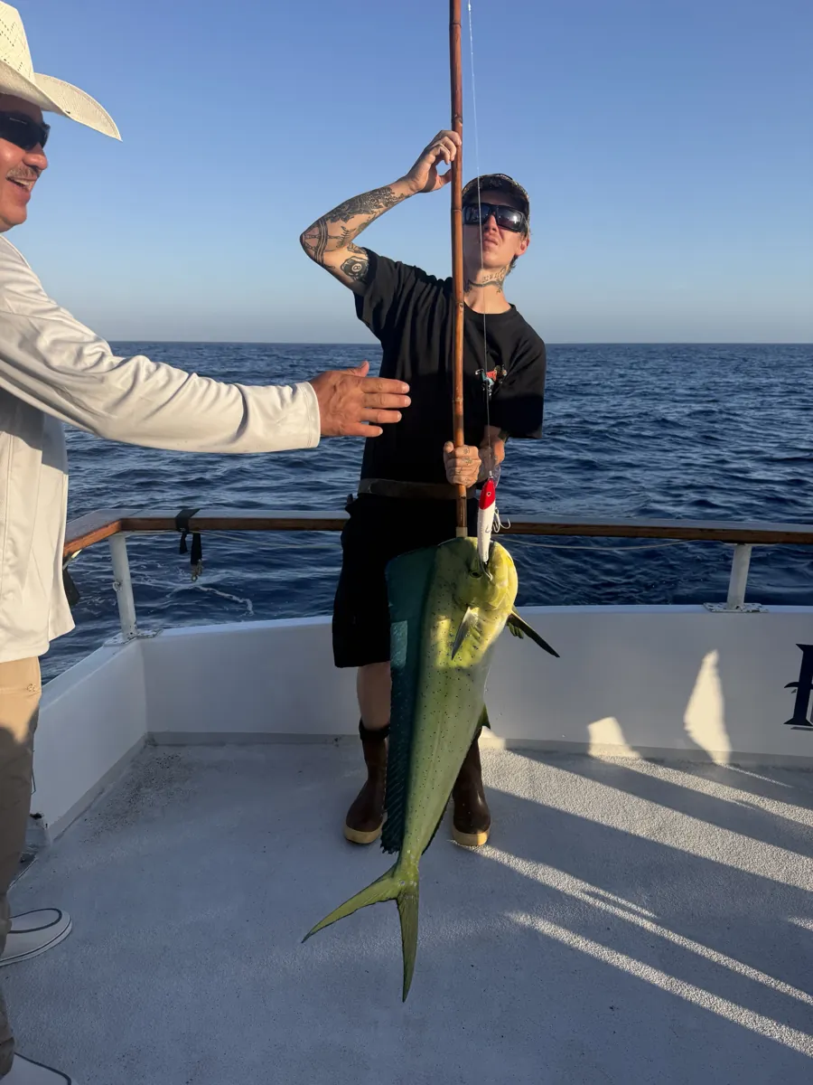 Gaffing a dorado