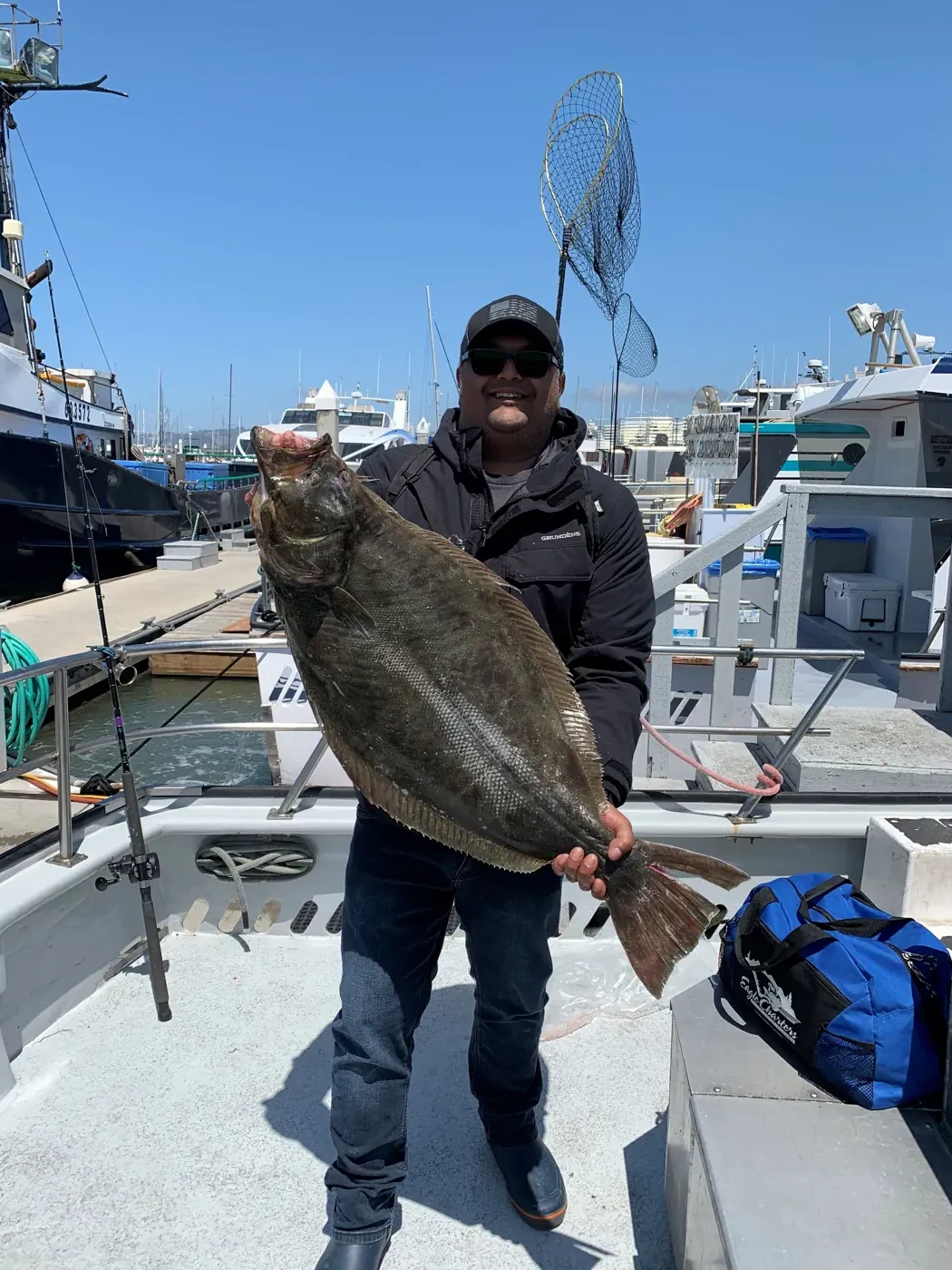 Bay halibut